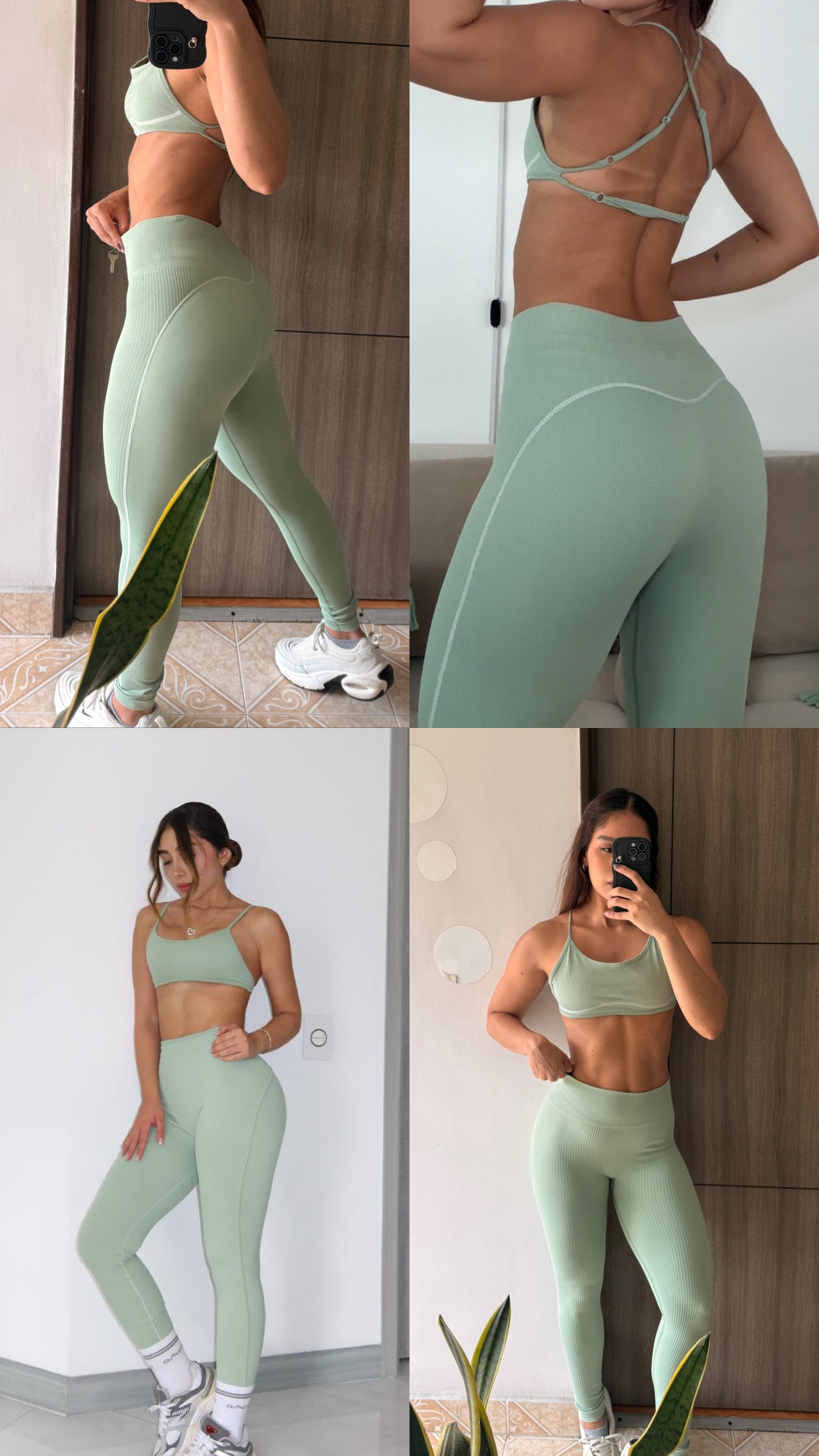 Set Elly